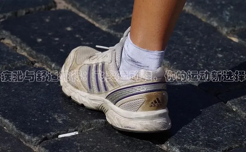 乐玩国际官方唯一官网知乎疾驰与舒适兼得：飞爽运动鞋，你的运动新选择