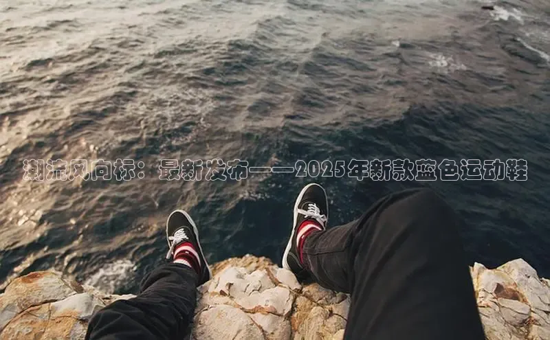 乐玩国际官方唯一官网壹网壹创潮流风向标：最新发布——2025年新款蓝色运动鞋