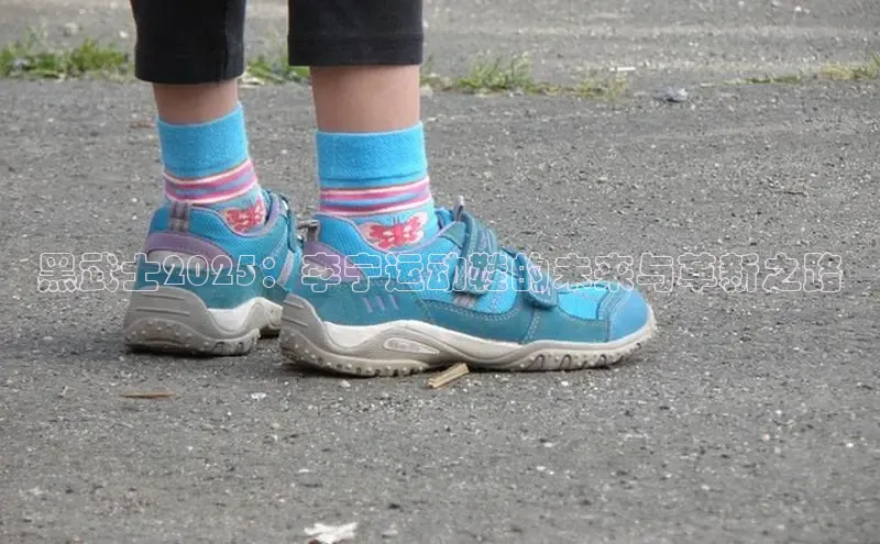 乐玩国际网址顺丰黑武士2025：李宁运动鞋的未来与革新之路