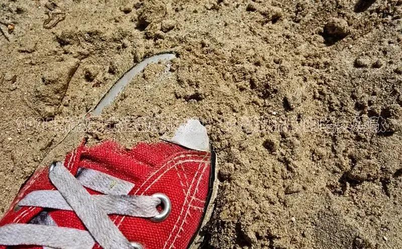 乐玩国际官方唯一官网百度学术2025新款男士运动鞋热潮：时尚潮流中的经典爆款