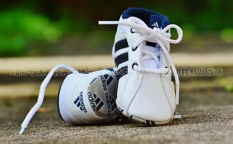 乐玩lehu唯一官网