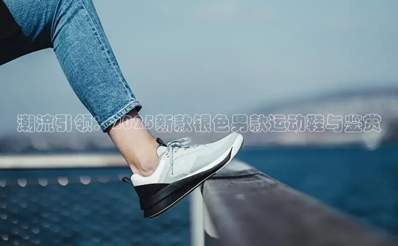 潮流引领：2025新款银色男款运动鞋与鉴赏