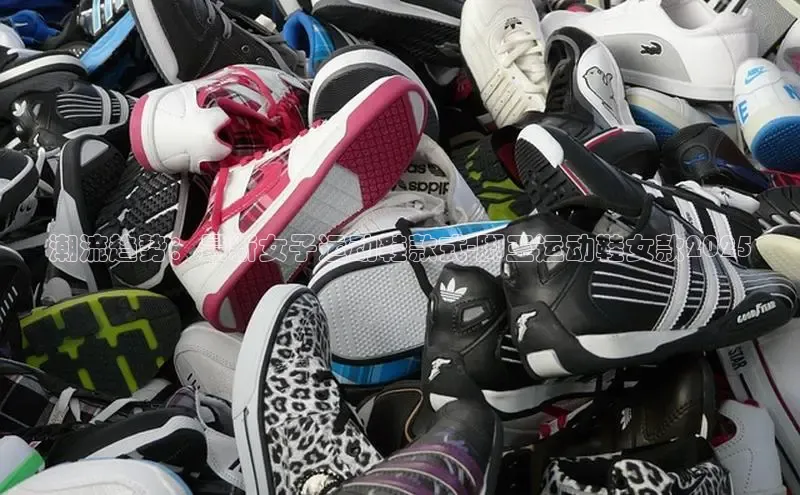 乐玩国际登录入口